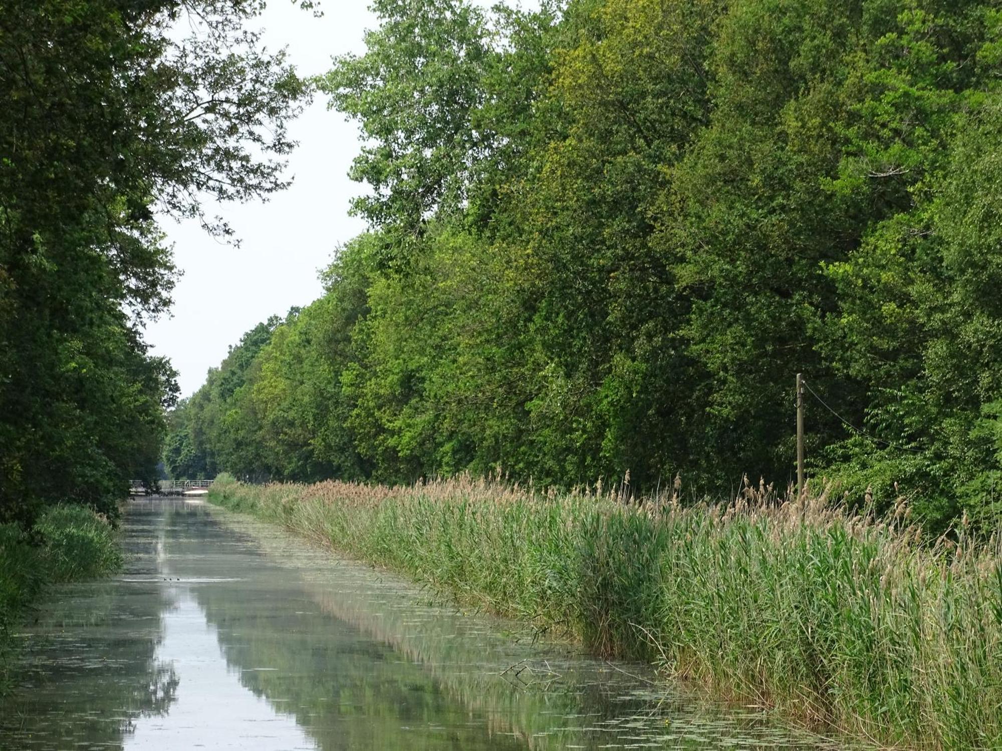 B&B Piccardie Emlichheim エクステリア 写真